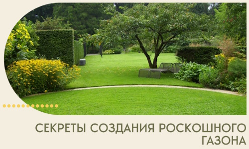 Секреты создания роскошного газона в Тутаеве