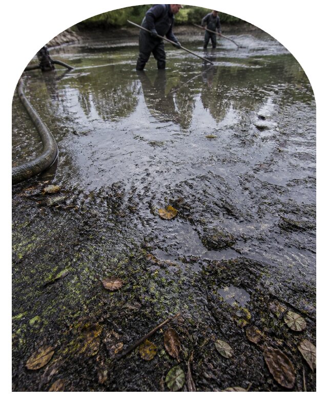Очистка пруда в Тутаеве от ила мусора и водорослей с вывозом
